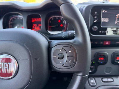 Fiat Panda 1.0 firefly hybrid s&s 70cv 5p.ti (17)