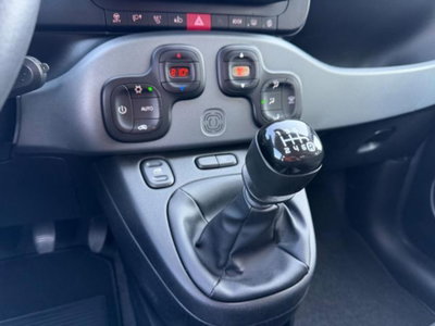Fiat Panda 1.0 firefly hybrid s&s 70cv 5p.ti (19)