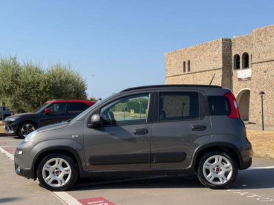 Fiat Panda 1.0 firefly hybrid s&s 70cv 5p.ti (4)