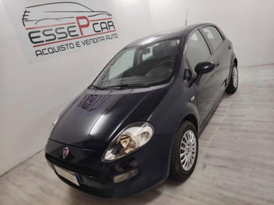 Fiat Punto 1.2 8V 5 porte Lounge usata