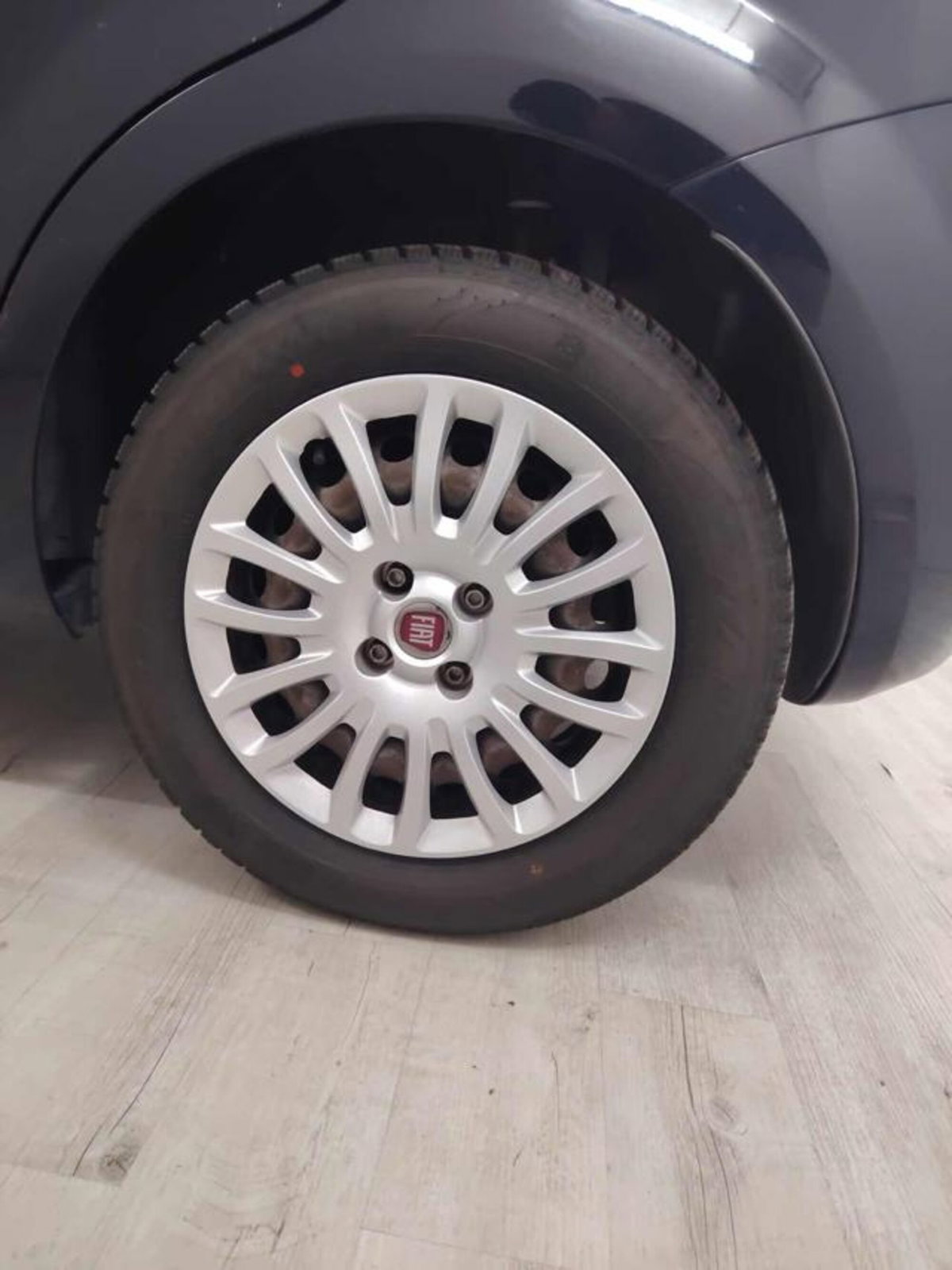 Fiat Punto 1.2 8V 5 porte Lounge (6)