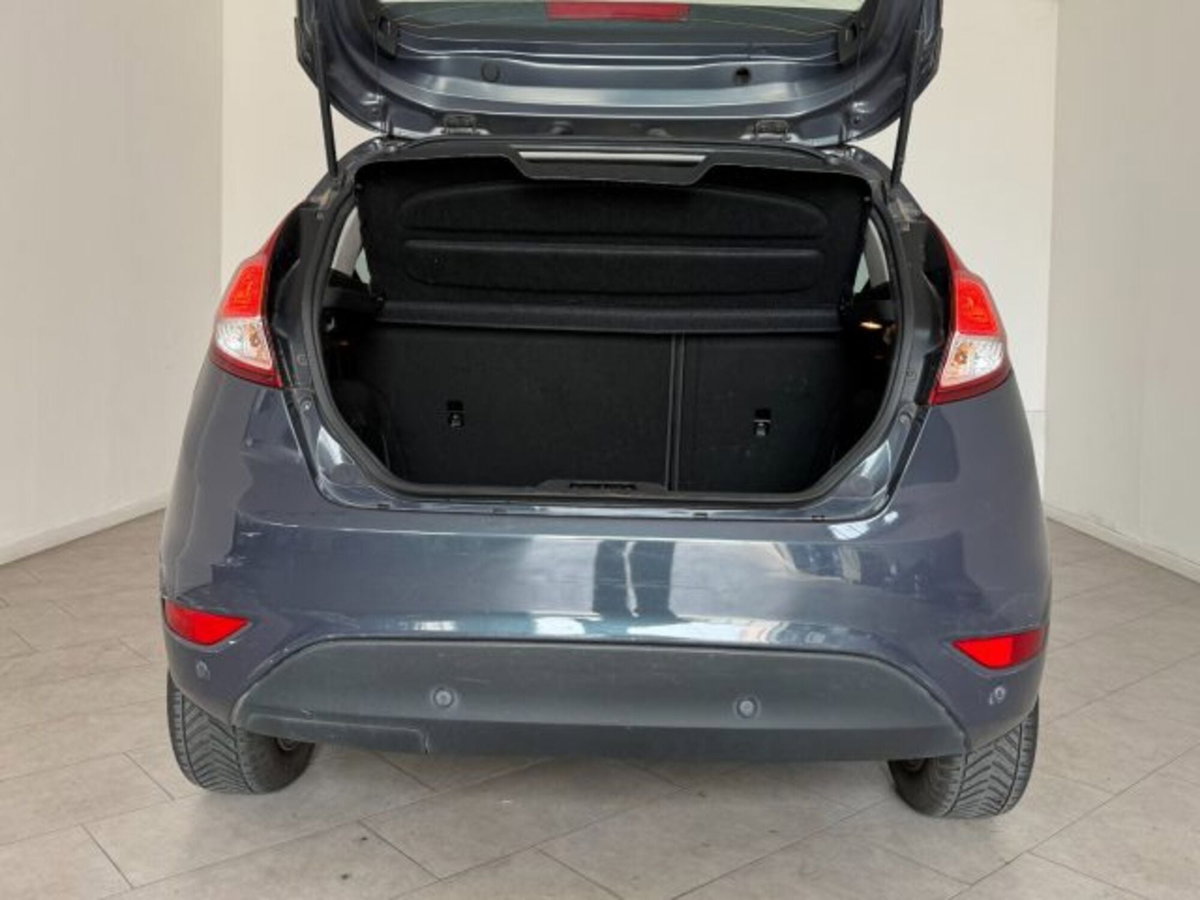 Ford Fiesta 1.4 5 porte Bz.- GPL Titanium (11)