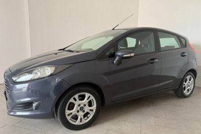 Ford Fiesta 1.4 5 porte Bz.- GPL Titanium (3)