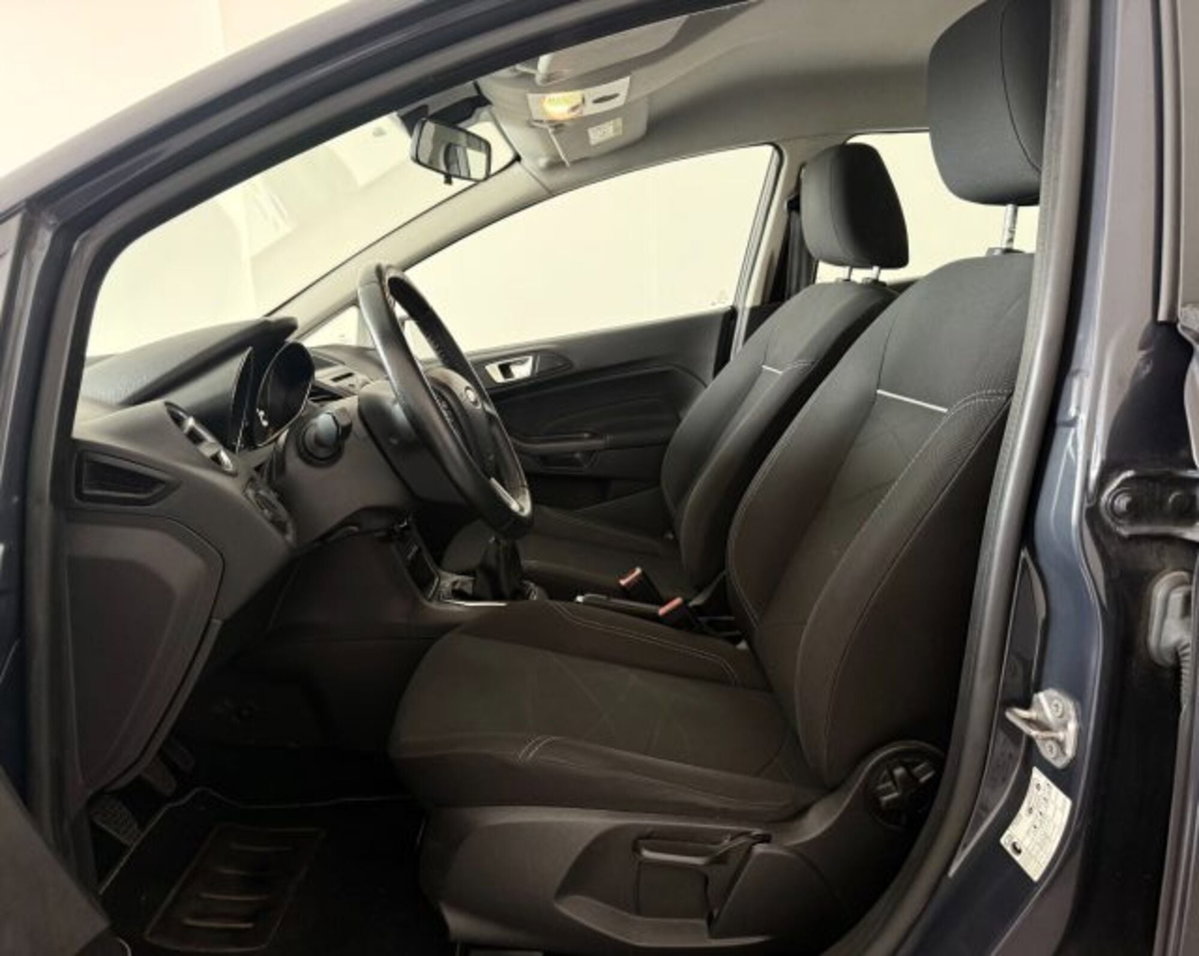 Ford Fiesta 1.4 5 porte Bz.- GPL Titanium (4)