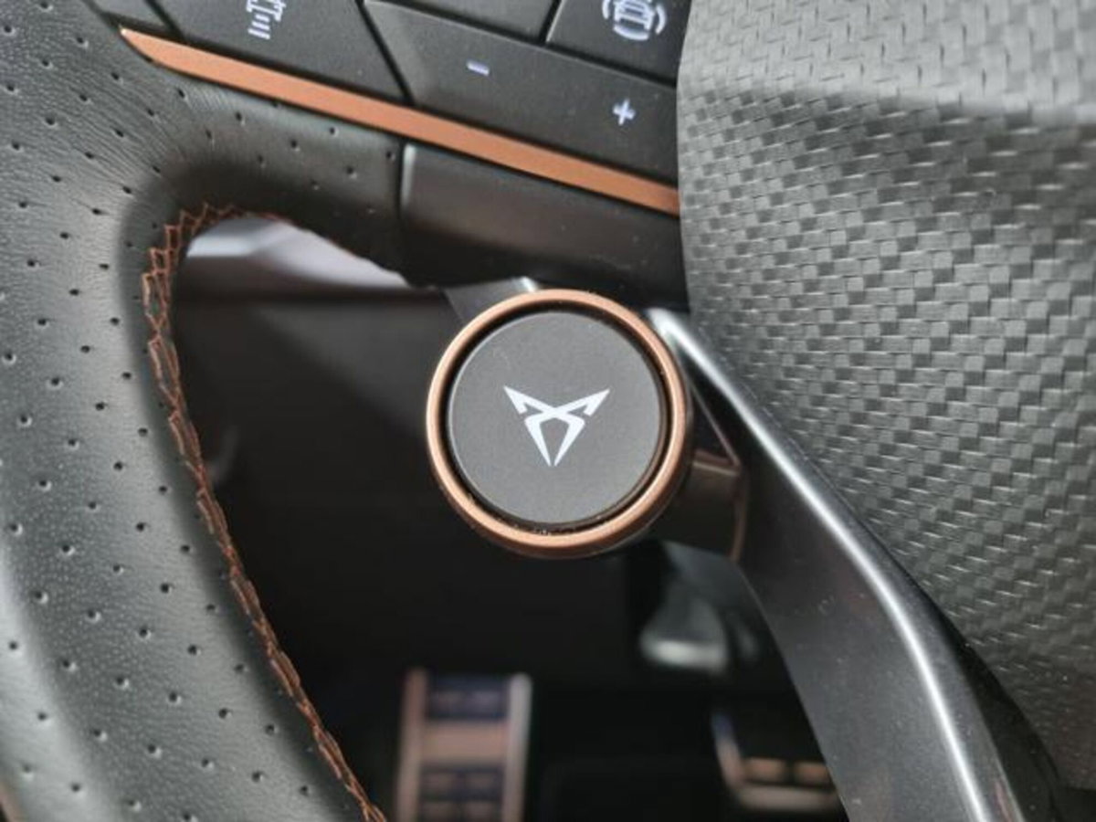 Cupra Leon Station Wagon Leon Sportstourer 1.5 hybrid 150cv dsg (18)