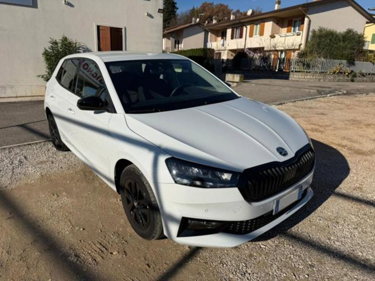 Skoda Fabia 1.0 tsi evo Young Edition 95cv (2)