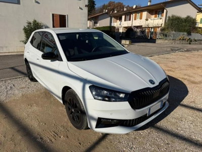 Skoda Fabia 1.0 tsi evo Young Edition 95cv (2)