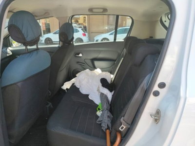 Dacia Sandero Streetway 1.0 TCe 100 CV ECO-G Comfort (15)