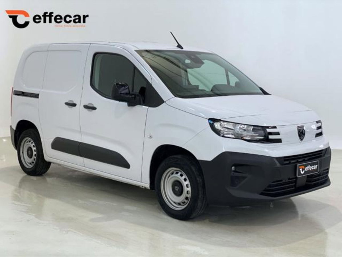 Peugeot Partner Furgone BlueHDi 100 PL Furgone Premium (3)