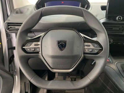 Peugeot Partner Furgone BlueHDi 100 PL Furgone Premium (9)