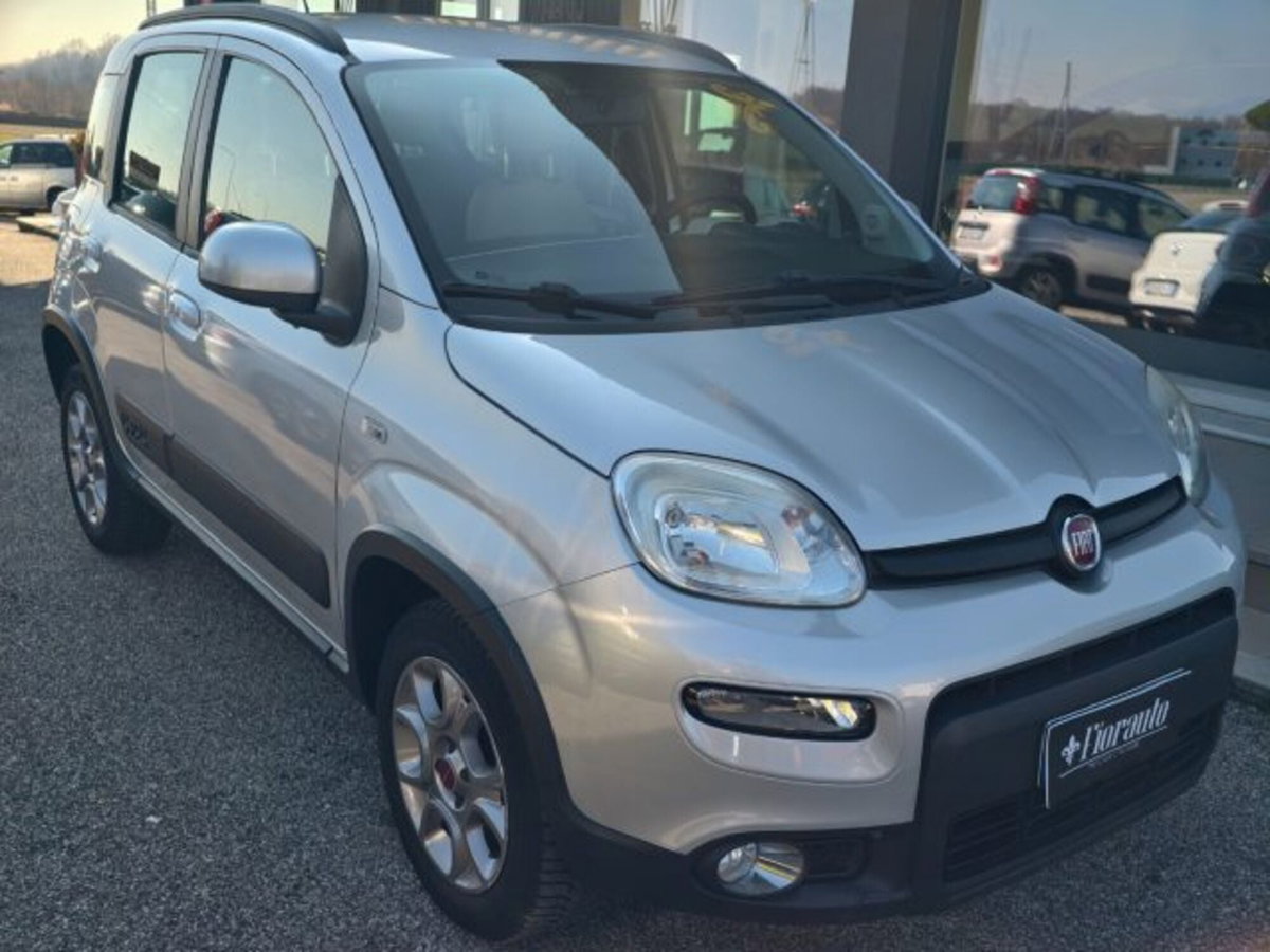 Fiat Panda 1.3 MJT 4x4 Van Active Trekking 2 posti (2)