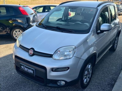 Fiat Panda 1.3 MJT 4x4 Van Active Trekking 2 posti (6)