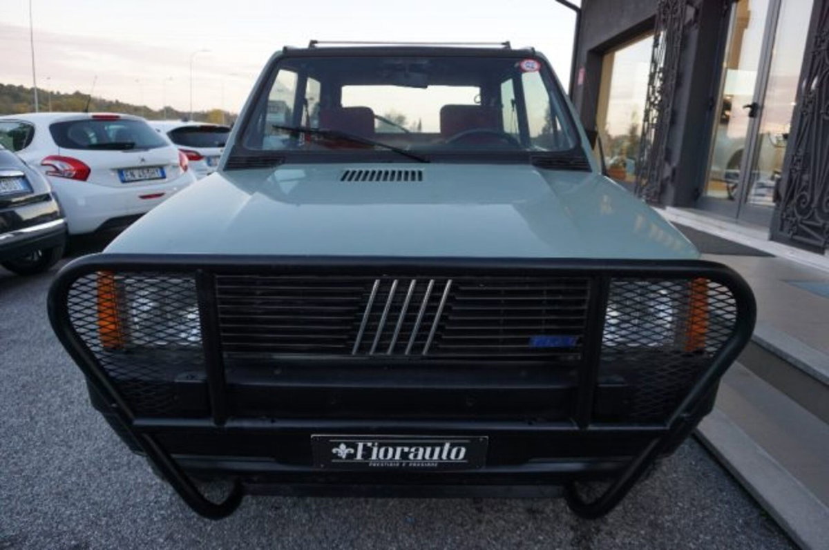 Fiat Panda 4x4 (19)