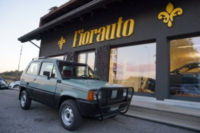 Fiat Panda 4x4 (2)