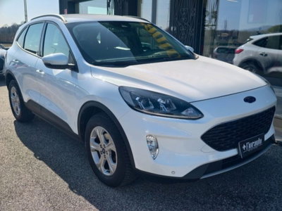 Ford Kuga 1.5 EcoBlue 120 CV 2WD Titanium (2)