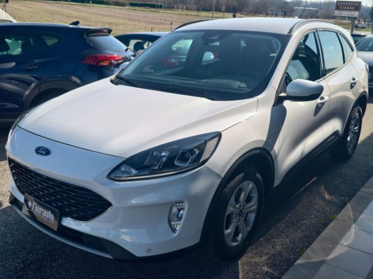 Ford Kuga 1.5 EcoBlue 120 CV 2WD Titanium (6)