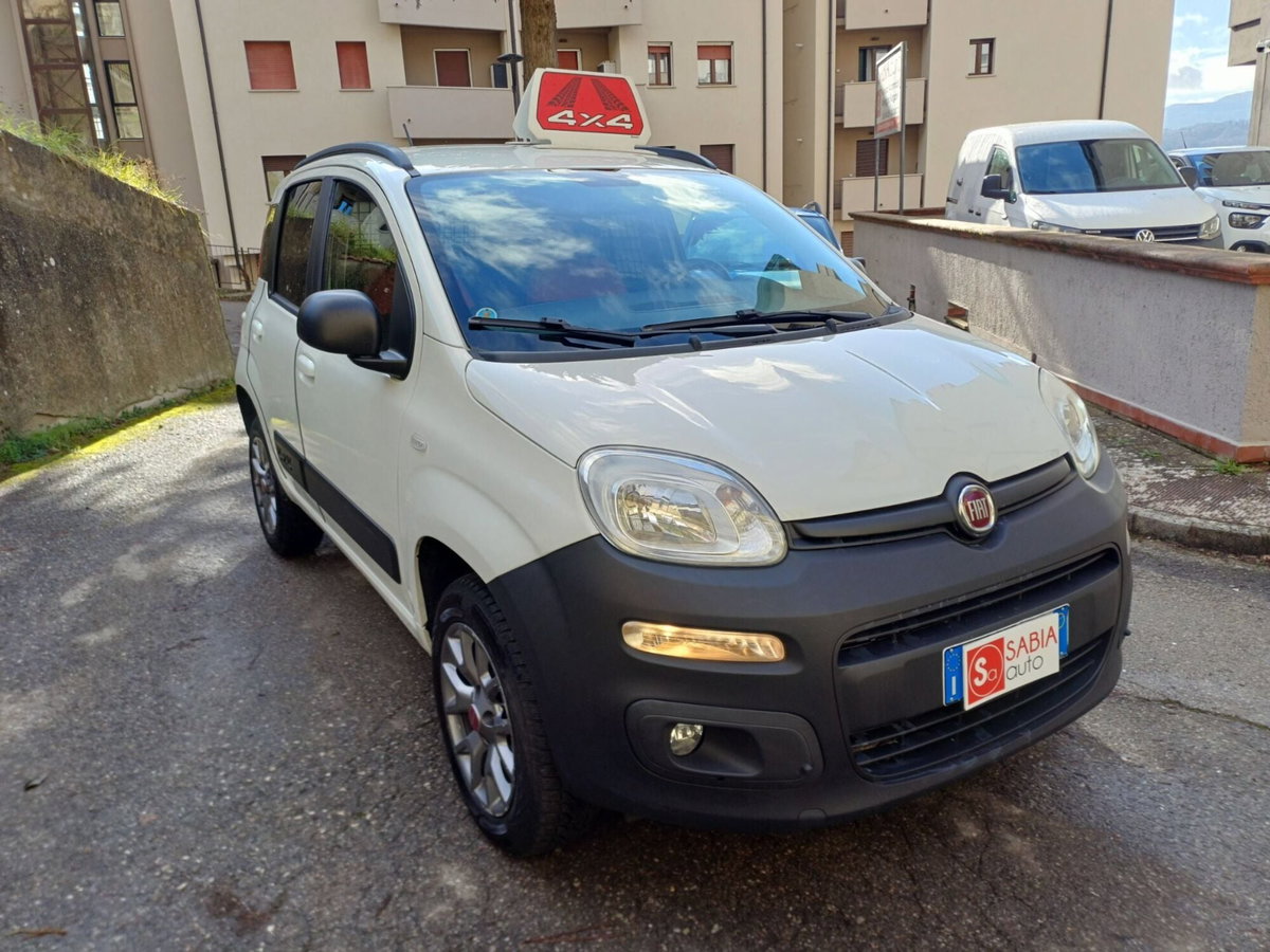 Fiat Panda 1.3 MJT 4x4 Pop Van 2 posti (3)