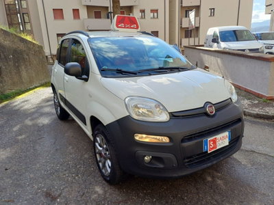 Fiat Panda 1.3 MJT 4x4 Pop Van 2 posti (3)