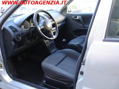 Volkswagen Polo 1.4 16V cat 5p. Comfortline (12)