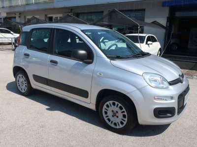 Fiat Panda 1.2 Easy usata