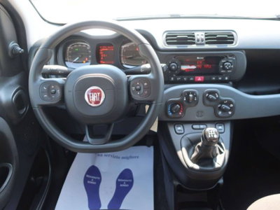 Fiat Panda 1.2 Easy (5)
