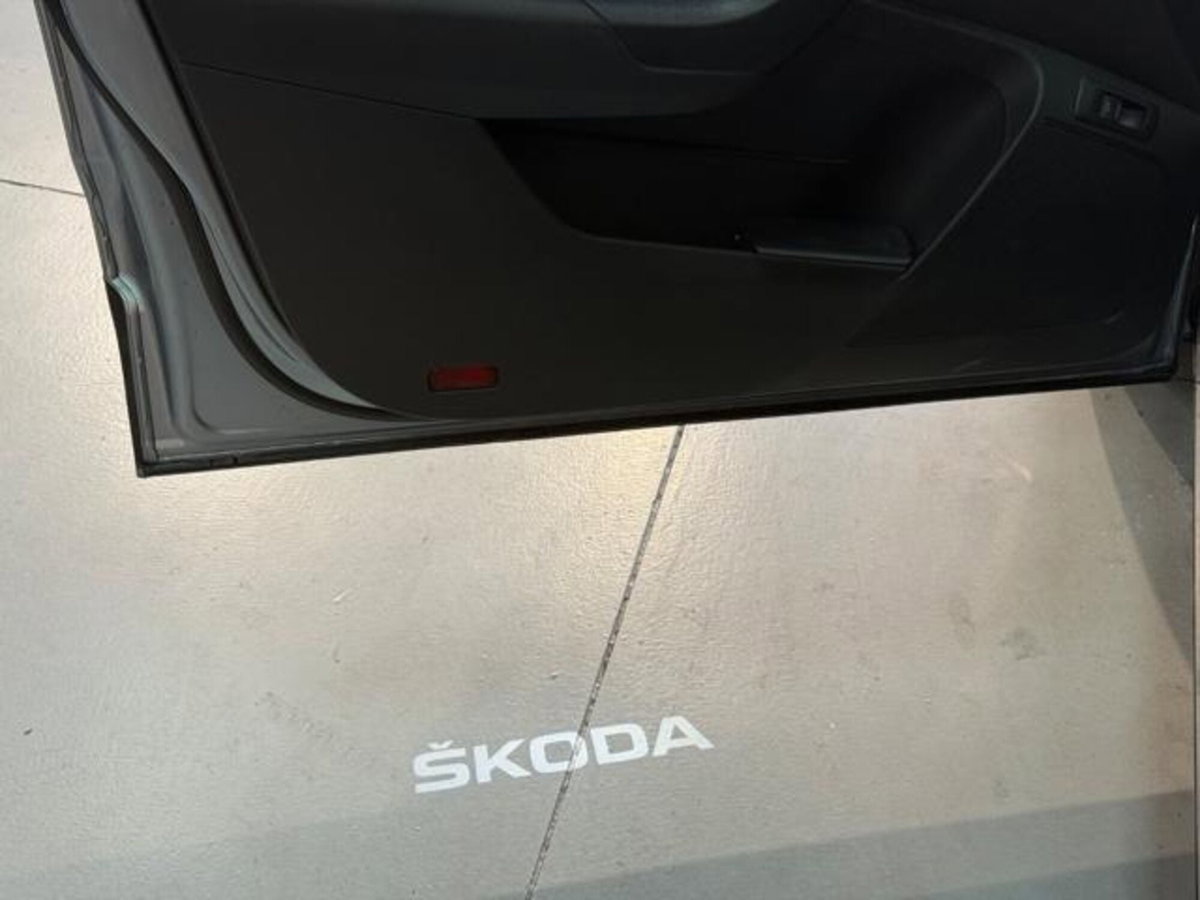 Skoda Karoq 1.6 TDI SCR Scout (18)