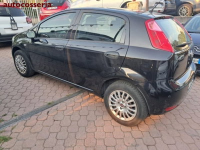 Fiat Punto Evo 1.2 5 porte Active usata