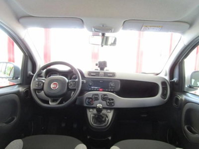 Fiat Panda 1.0 firefly hybrid s&s 70cv 5p.ti (11)