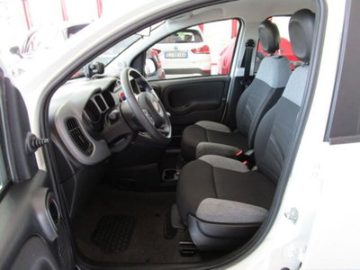 Fiat Panda 1.0 firefly hybrid s&s 70cv 5p.ti (12)