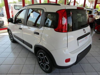 Fiat Panda 1.0 firefly hybrid s&s 70cv 5p.ti (6)