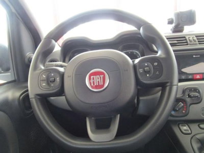 Fiat Panda 1.0 firefly hybrid s&s 70cv 5p.ti (9)