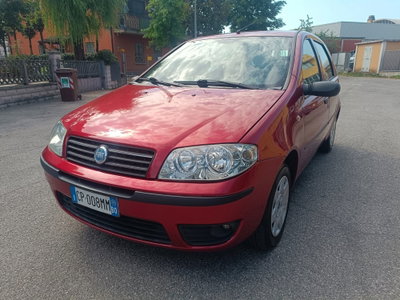 Fiat Punto 1.2 5 porte Active Natural Power usata
