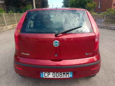 Fiat Punto 1.2 5 porte Active Natural Power (8)