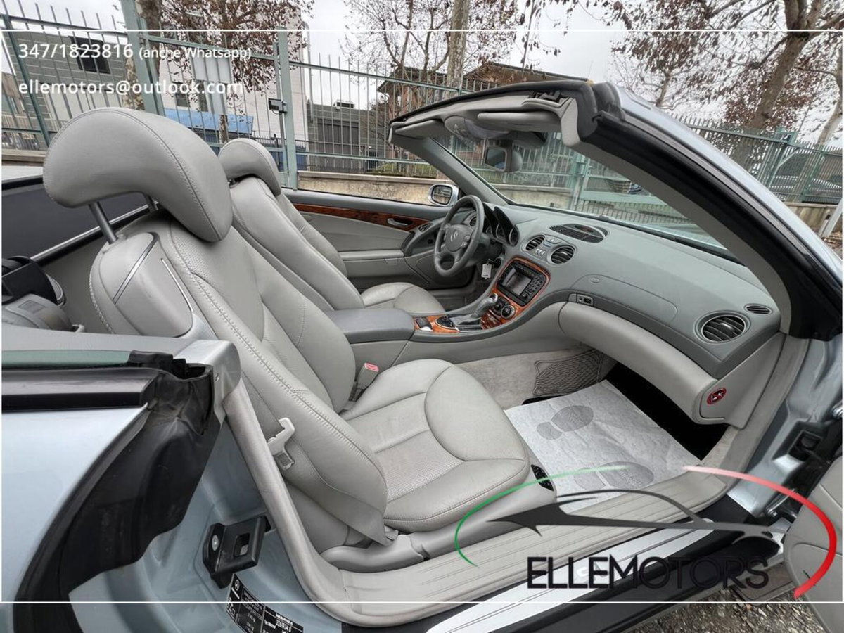 Mercedes-Benz SL 500 cat Elegance (15)