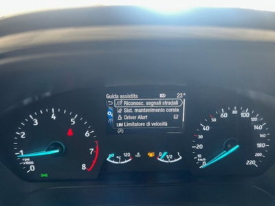 Ford Fiesta 1.0 Ecoboost Hybrid 125 CV 5 porte Titanium (12)