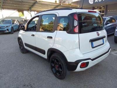 Fiat Panda Cross 1.0 firefly hybrid Cross s&s 70cv 5p.ti (3)