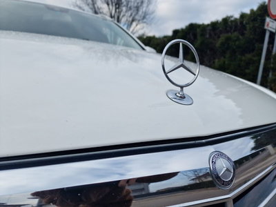 Mercedes-Benz Classe E Station Wagon 220 CDI BlueEFFICIENCY Avantgarde (19)