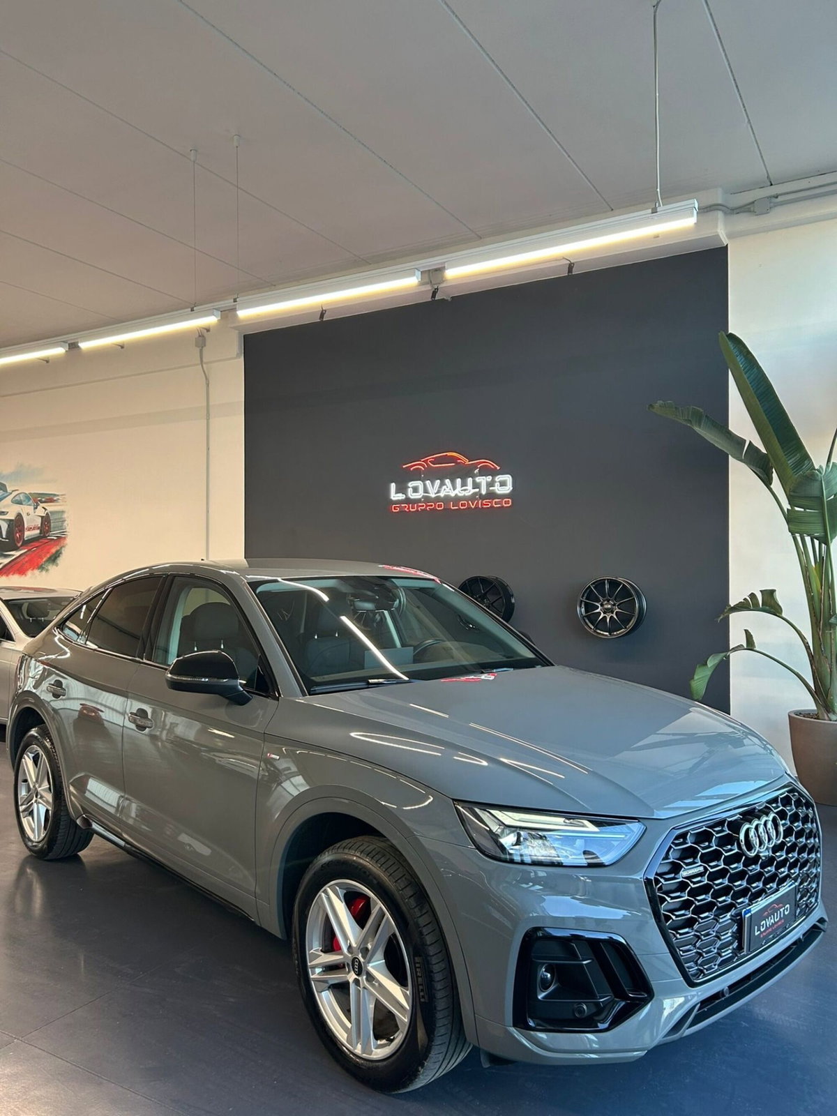 Audi Q5 40 TDI 204 CV quattro S tronic S line plus (2)