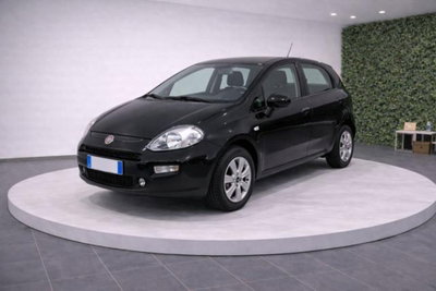 Fiat Punto Evo 1.2 5 porte Active usata