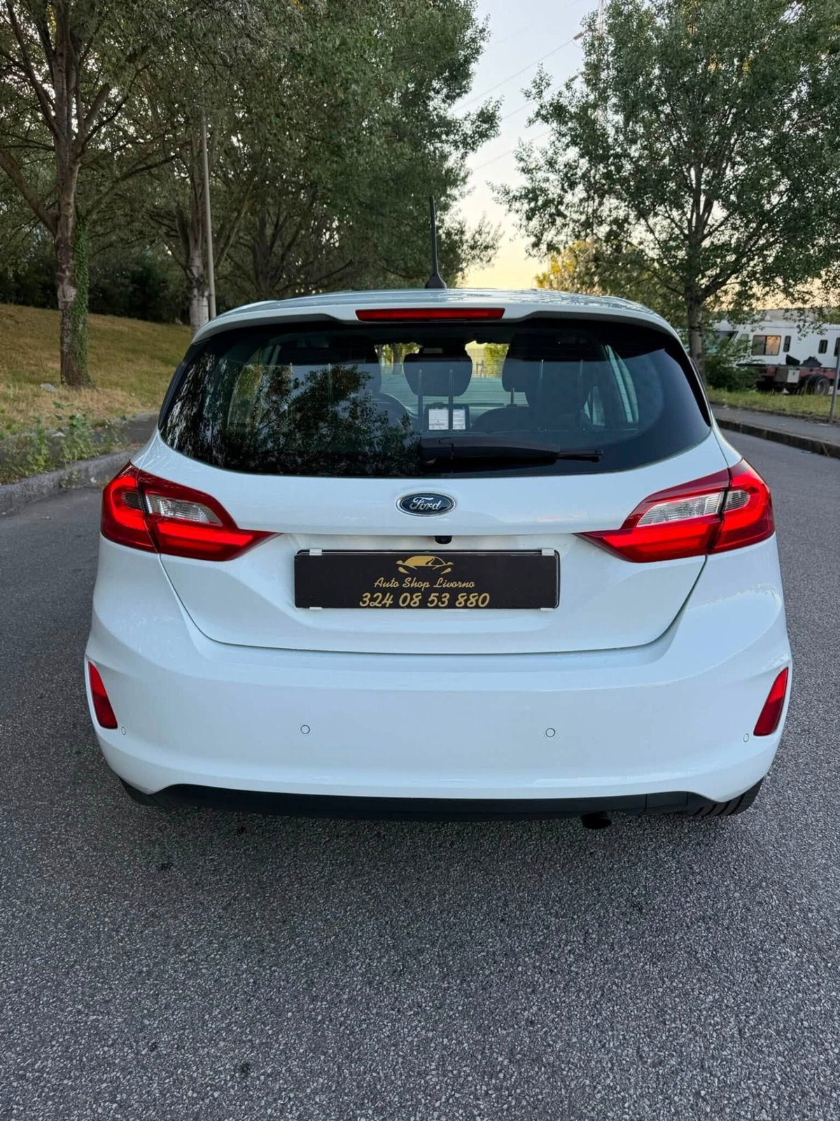 Ford Fiesta 1.0 Ecoboost 100 CV aut. 5 porte Vignale (3)