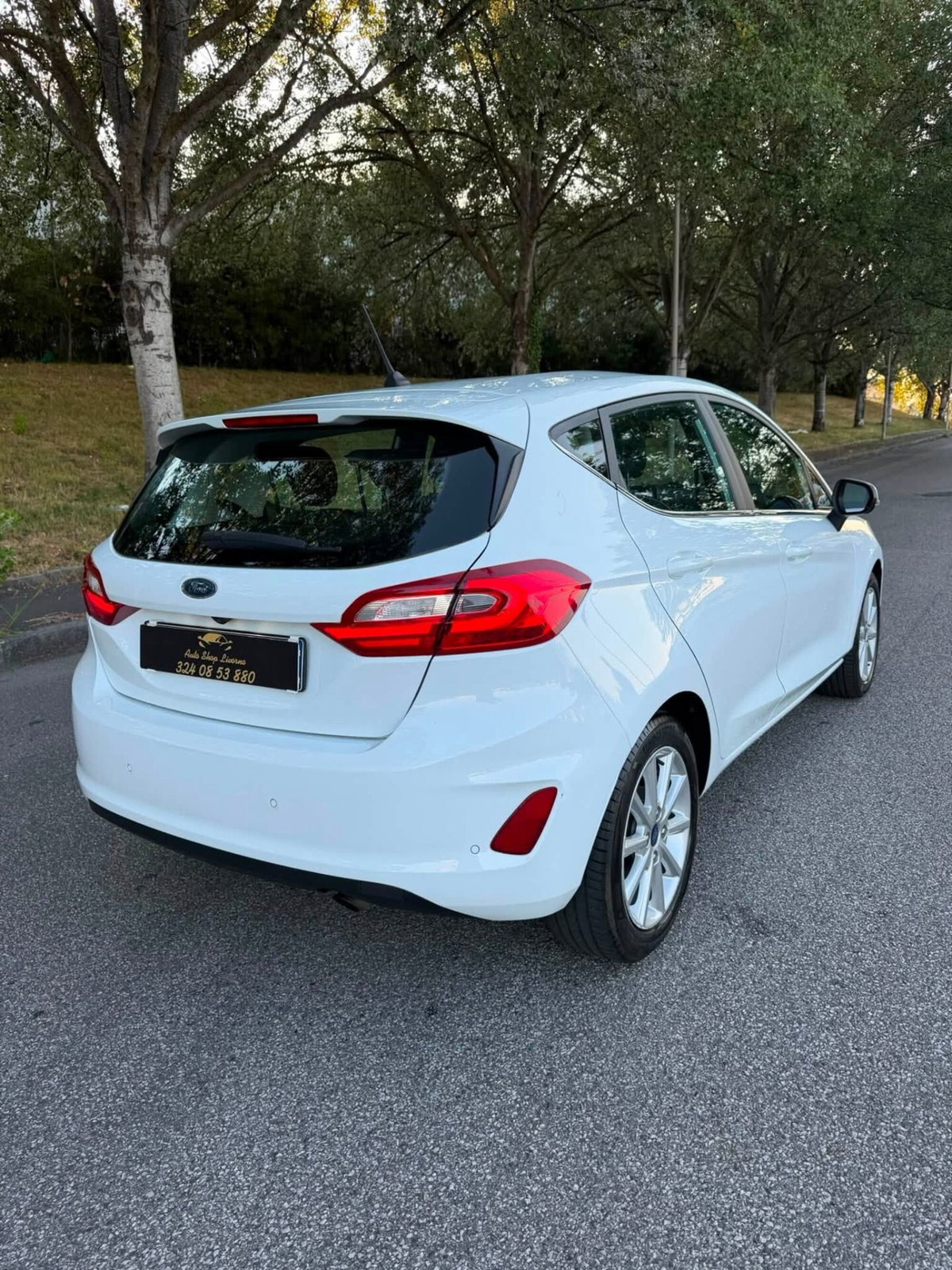 Ford Fiesta 1.0 Ecoboost 100 CV aut. 5 porte Vignale (4)