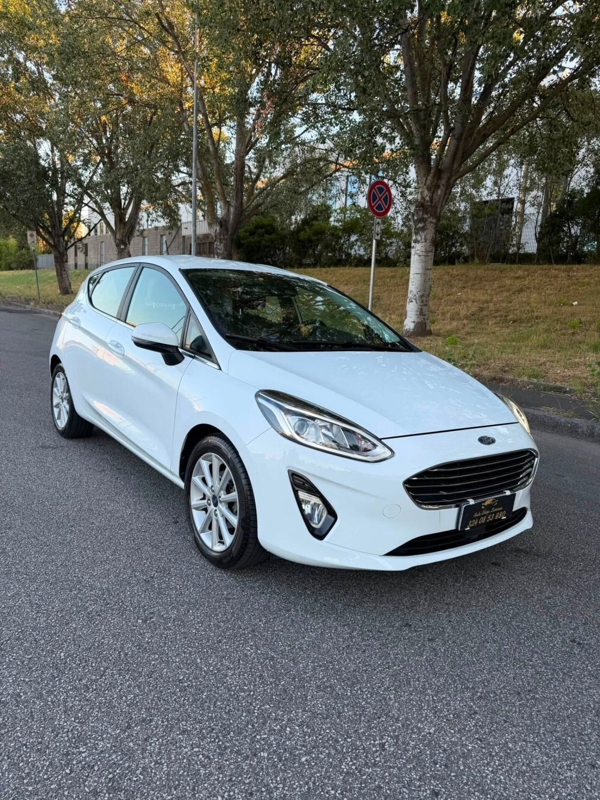 Ford Fiesta 1.0 Ecoboost 100 CV aut. 5 porte Vignale (5)