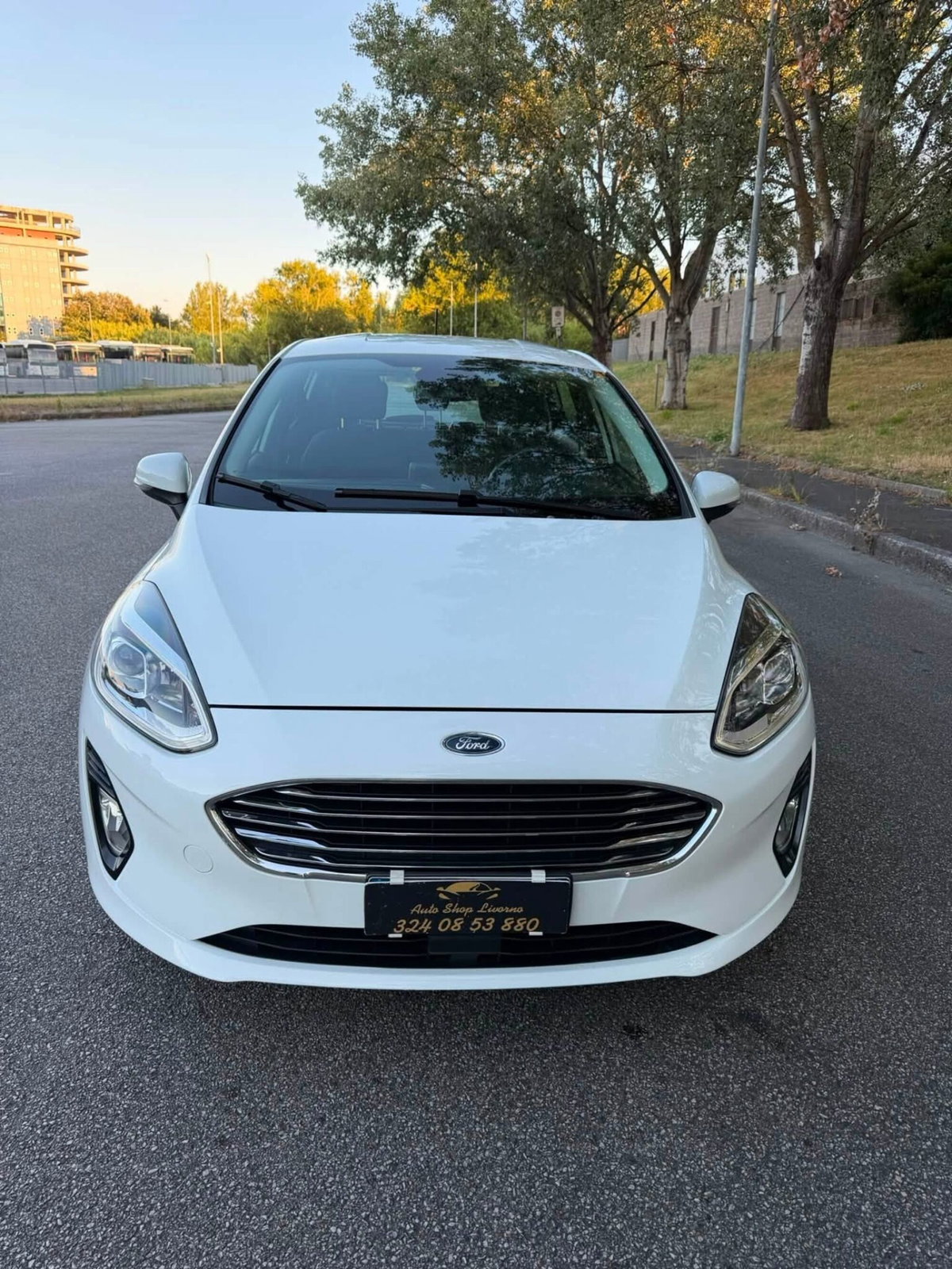 Ford Fiesta 1.0 Ecoboost 100 CV aut. 5 porte Vignale (8)