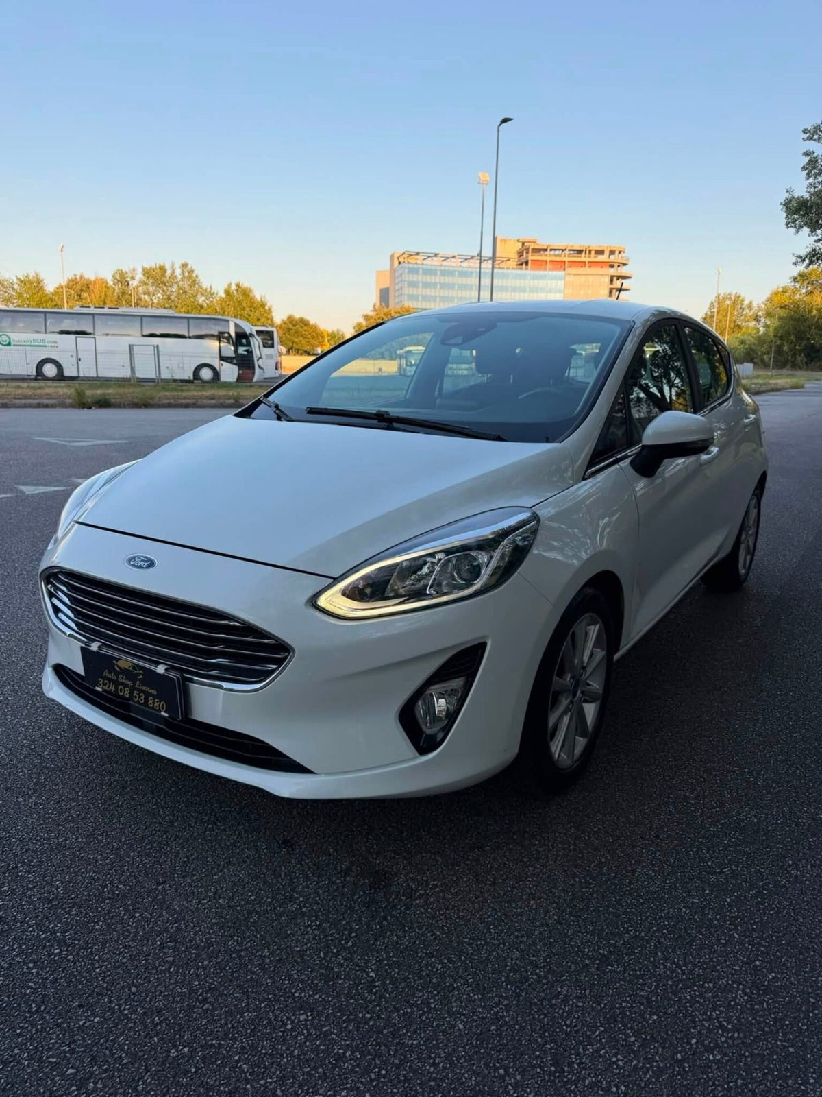 Ford Fiesta 1.0 Ecoboost 100 CV aut. 5 porte Vignale (9)