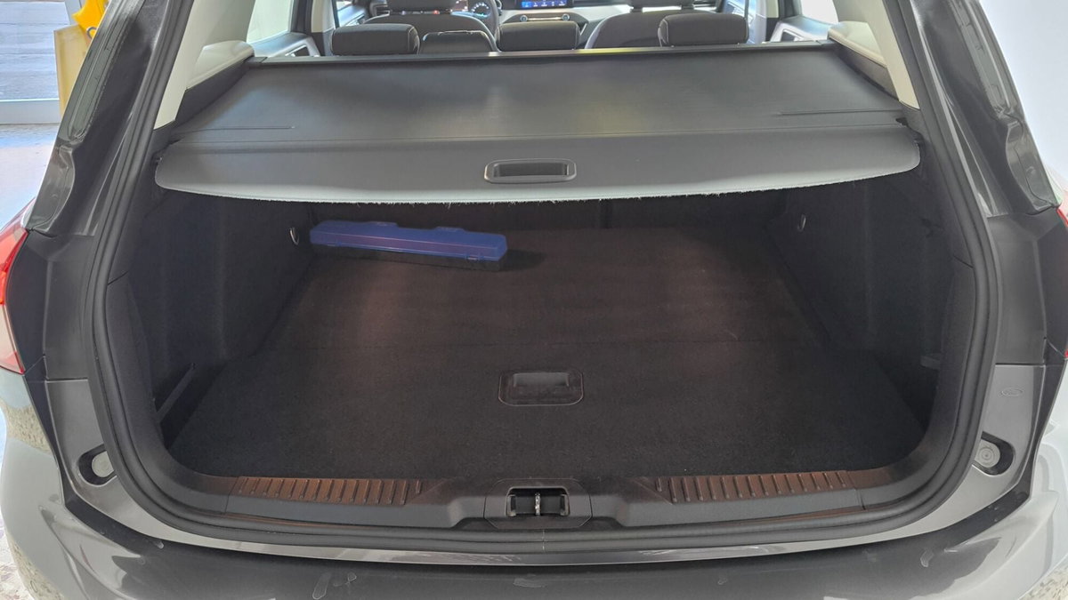 Ford Focus Station Wagon 1.5 EcoBlue 120 CV automatico SW Business Co-Pilot (10)