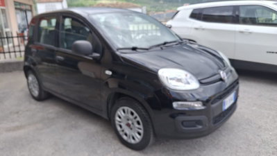 Fiat Panda 1.2 Easy usata