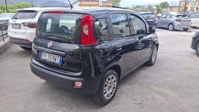 Fiat Panda 1.2 Easy (3)