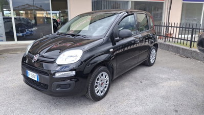 Fiat Panda 1.2 Easy (5)