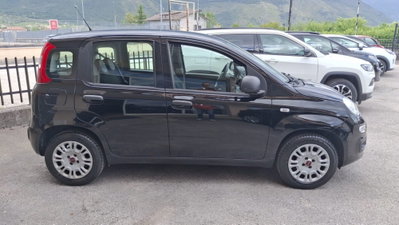 Fiat Panda 1.2 Easy (6)