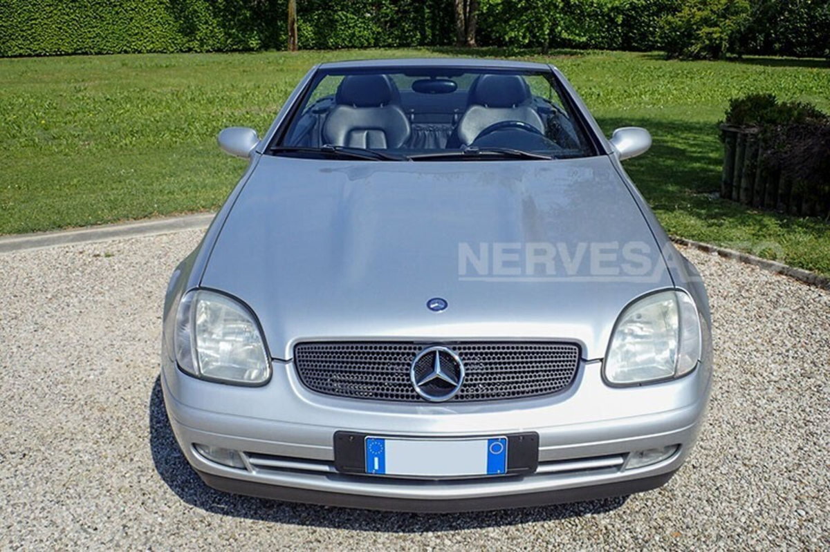 Mercedes-Benz SLK 200 cat (10)